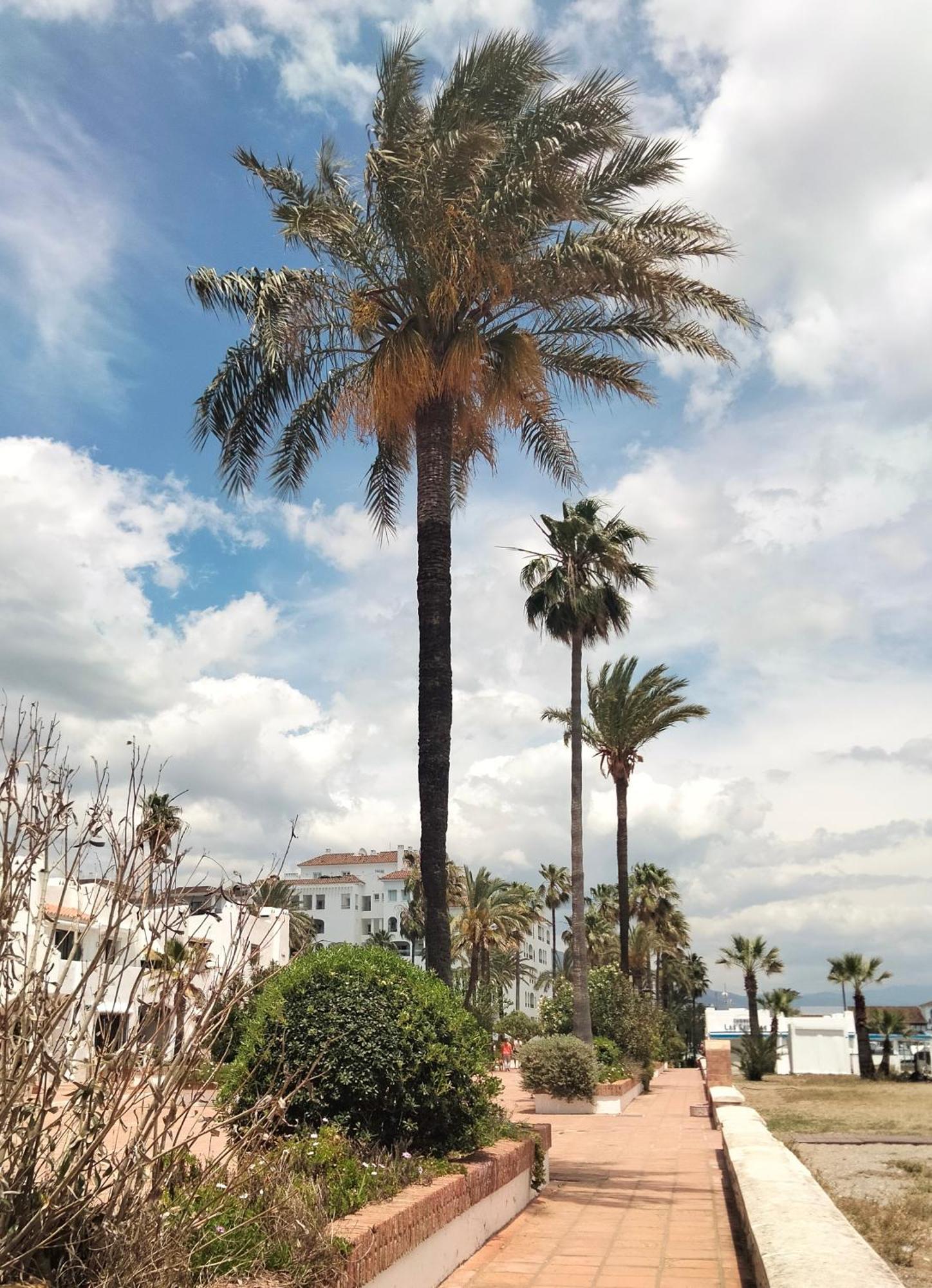 Apartamento Primera Linea De Playa Manilva Eksteriør billede