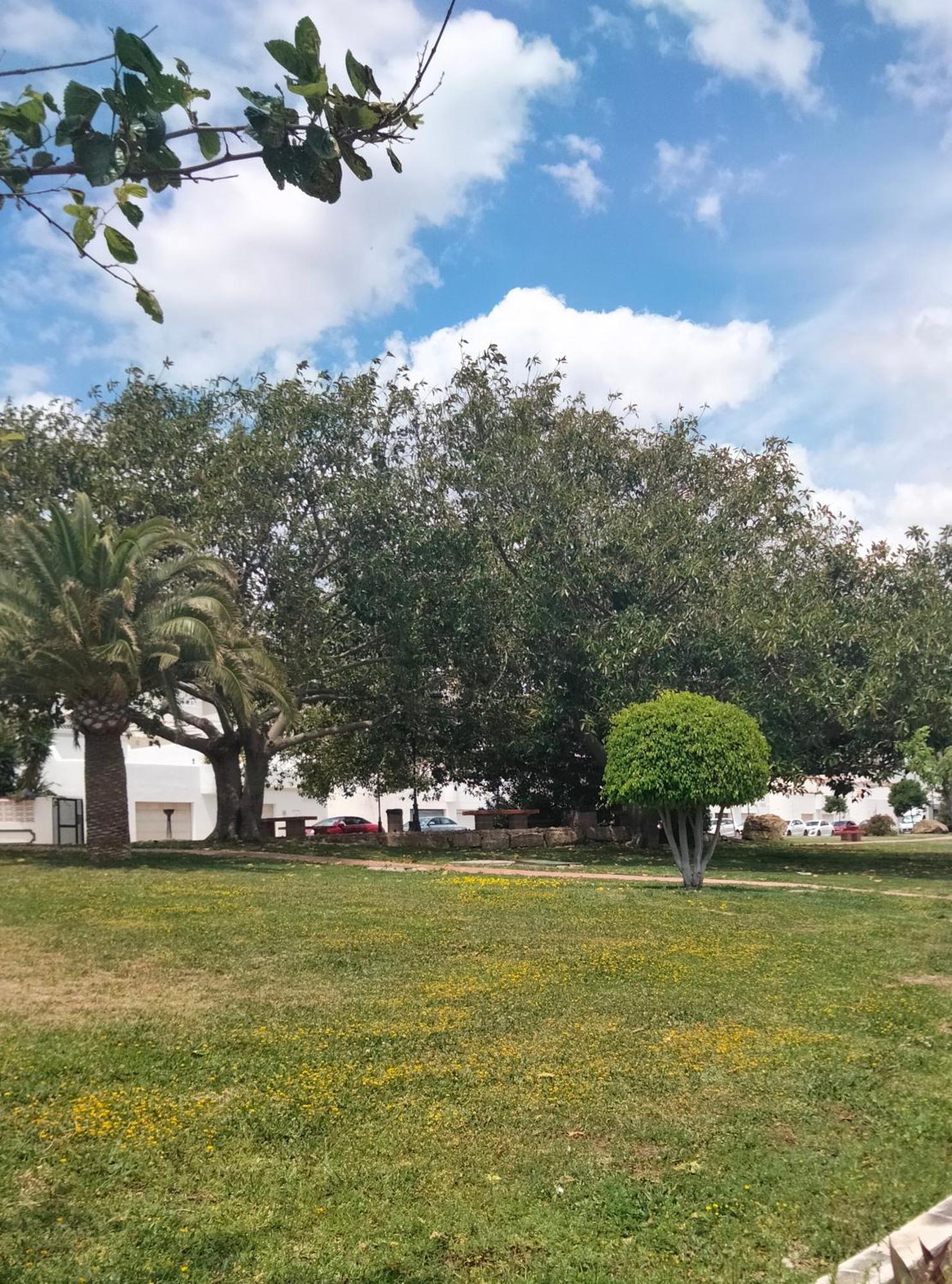 Apartamento Primera Linea De Playa Manilva Eksteriør billede
